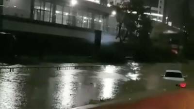 Алексей Копайгородский - Один человек погиб в районе вышедшей из берегов реки в Сочи - iz.ru - Сочи - Израиль
