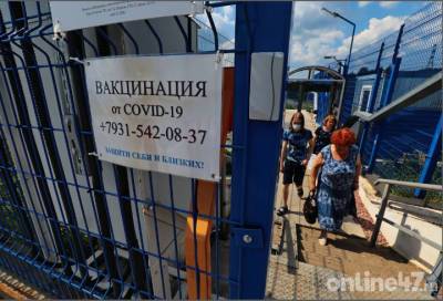 За прошедшие сутки в Ленобласти выявили 241 новый случай COVID-19 - online47.ru - Ленинградская обл.