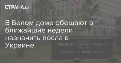 Мари Йованович - В Белом доме обещают в ближайшие недели назначить посла в Украине - strana.ua - США - Украина - Посол