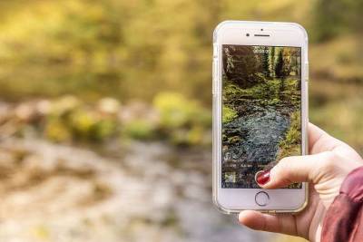 Первые пользователи Android 12 возмущены вырезкой из ОС настроек шрифта и формы иконок - actualnews.org