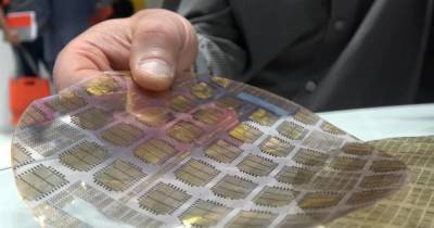 Дешевле некуда: как гибкий пластиковый микрочип создаст новый "интернет всего" - focus.ua - Украина