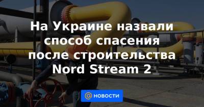 Владимир Зеленский - На Украине назвали способ спасения после строительства Nord Stream 2 - news.mail.ru - Россия - Украина - Иран - Азербайджан - Катар