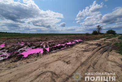Полиция Ровенщины открыла уголовное дело из-за ядовитых розовых луж - kp.ua - Украина - район Ровенский