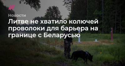 Арвидас Анушаускас - Литве не хватило колючей проволоки для барьера на границе с Беларусью - tvrain.ru - Белоруссия - Польша - Литва - Словения - Дания