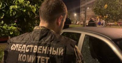 Александр Бастрыкин - СК показал кадры с места расстрела замначальника уголовного розыска на Ставрополье - reendex.ru - Россия - Ставрополье