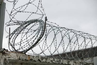 Агне Билотайте - Эстония передаст Литве 100 км колючей проволоки для установки на границе с Белоруссией - znak.com - Белоруссия - Эстония - Литва