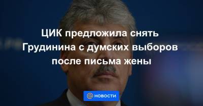 Александр Ющенко - ЦИК предложила снять Грудинина с думских выборов после письма жены - news.mail.ru - Россия