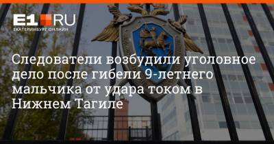 Артем Устюжанин - Следователи возбудили уголовное дело после гибели 9-летнего мальчика от удара током в Нижнем Тагиле - e1.ru - Екатеринбург - Свердловская обл.