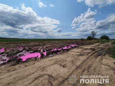 Полиция начала расследование из-за розовых луж с неизвестным веществом в поле под Ровно - gordonua.com - Украина - район Ровенский