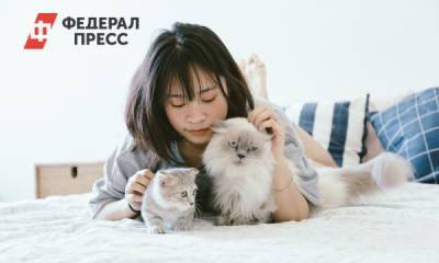 Стало известно, почему кошки любят спать на человеке - fedpress.ru - Москва