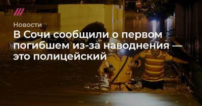 Дмитрий Феоктистов - В Сочи сообщили о первом погибшем из-за наводнения — это полицейский - tvrain.ru - Сочи