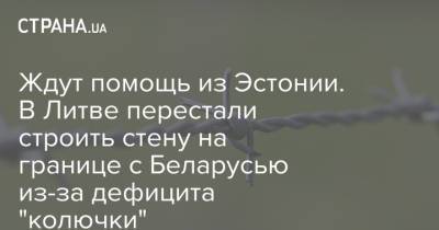 Александр Лукашенко - Ждут помощь из Эстонии. В Литве перестали строить стену на границе с Беларусью из-за дефицита "колючки" - strana.ua - Украина - Белоруссия - Эстония - Литва - Чехия