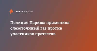 Полиция Парижа применила слезоточивый газ против участников протестов - ren.tv - Франция - Париж