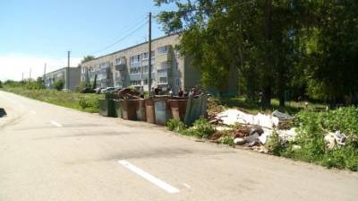 Жителей Зари возмутила неполная уборка мусора - penzainform.ru