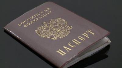 Михаил Мишустин - Пензенцы по-разному отнеслись к наличию штампов в паспорте - penzainform.ru - Брак