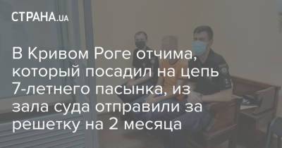 В Кривом Роге отчима, который посадил на цепь 7-летнего пасынка, из зала суда отправили за решетку на 2 месяца - strana.ua - Украина - Кривой Рог - Днепропетровская обл.