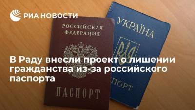 Владимир Путин - В Раду внесли проект о лишении украинского гражданства за получение российского паспорта - ria.ru - Россия - Украина - Киев - ДНР - ЛНР
