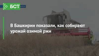 В Башкирии показали, как собирают урожай озимой ржи - bash.news - Башкирия