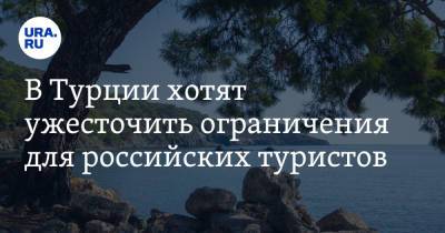 Фахреттин Коджа - В Турции хотят ужесточить ограничения для российских туристов - ura.news - Россия - Турция - Twitter