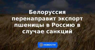 Александр Лукашенко - Белоруссия перенаправит экспорт пшеницы в Россию в случае санкций - news.mail.ru - Россия - Китай - Украина - Белоруссия - Минск
