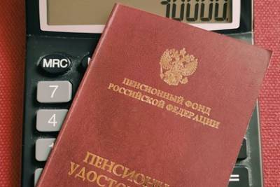 Евгений Биезбардис - Россиянам раскрыли законные способы увеличить пенсию - lenta.ru - Россия
