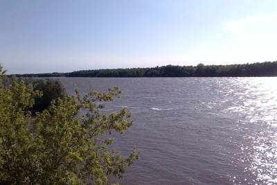 В текущем году в Омской области уже 47 человек погибли на воде - omsk.mk.ru - Омск - Омская обл.