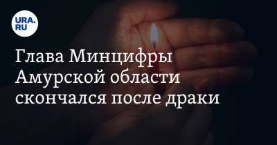 Василий Орлов - Глава Минцифры Амурской области скончался после драки - ura.news - Россия - Амурская обл.