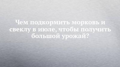 Чем подкормить морковь и свеклу в июле, чтобы получить большой урожай? - chelny-izvest.ru