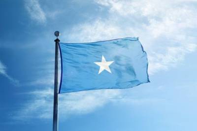 В Сомали начались выборы в верхнюю палату федерального парламента - trend.az - Юар - Сомали - Могадишо
