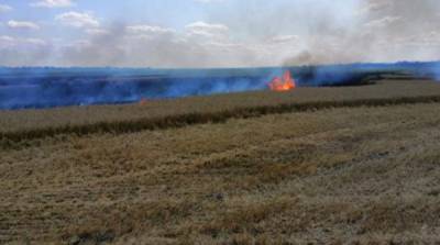 В Николаевской области горело пшеничное поле - ru.slovoidilo.ua - Украина - Николаевская обл.