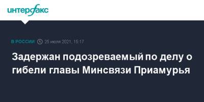 Задержан подозреваемый по делу о гибели главы Минсвязи Приамурья - interfax.ru - Москва - Россия - Амурская обл. - Благовещенск