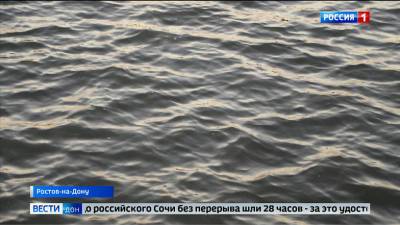 Следком устанавливает обстоятельства утопления 14-летней девочки на базе отдыха в Ростове - dontr.ru - Ростов-На-Дону - Ростовская обл.
