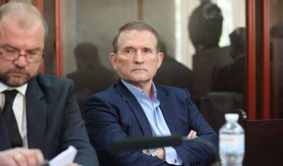 Владимир Зеленский - Виктор Медведчук - Во Франции - Во Франции потребовали от МИД разъяснить причины притеснения украинских оппозиционеров - news-front.info - Украина - Франция