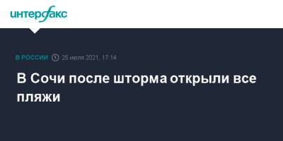 Алексей Копайгородский - В Сочи после шторма открыли все пляжи - interfax.ru - Москва - Сочи