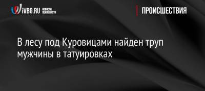 В лесу под Куровицами найден труп мужчины в татуировках - ivbg.ru - Украина - Ленинградская обл. - Псков - район Кингисеппский - Светогорск