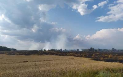 На Черниговщине пожар на пшеничном поле - korrespondent.net - Украина - Черниговская обл.