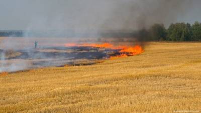 Пожар на Черниговщине охватил 55 га хозяйственного поля - ru.slovoidilo.ua - Украина - Николаевская обл. - Черниговская обл.
