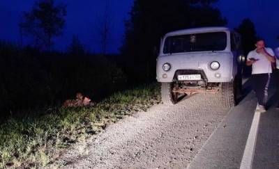 Ночная поездка на рыбалку закончилась для тюменцев эвакуацией автомобиля и административным делом - news.megatyumen.ru - Тюмень