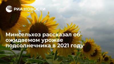 Минсельхоз: урожая подсолнечника в 2021 году хватит для сохранения цен на масло - smartmoney.one - Россия - Липецкая обл.
