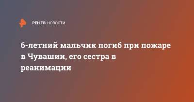6-летний мальчик погиб при пожаре в Чувашии, его сестра в реанимации - ren.tv - респ. Чувашия