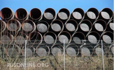 Германия угрожает России ножом, приставленным к собственному горлу - rusonline.org - Россия - Китай - США - Украина - Киев - Германия