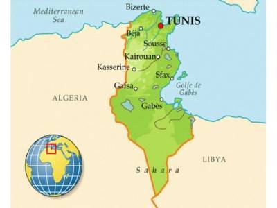 Саид Каис - Президент Туниса решил отправить в отставку премьера и распустить парламент - rosbalt.ru - Тунис - Тунисская Респ.