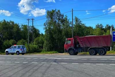 Пьяного водителя грузовика поймали сотрудники ГИБДД в Карелии - karel.mk.ru - республика Карелия
