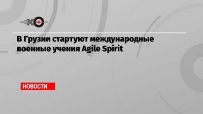 В Грузии стартуют международные военные учения Agile Spirit - echo.msk.ru - США - Грузия - Тбилиси