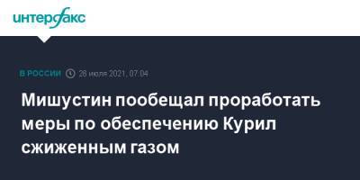 Михаил Мишустин - Мишустин пообещал проработать меры по обеспечению Курил сжиженным газом - interfax.ru - Москва - Россия - Сахалинская обл. - Дальний Восток