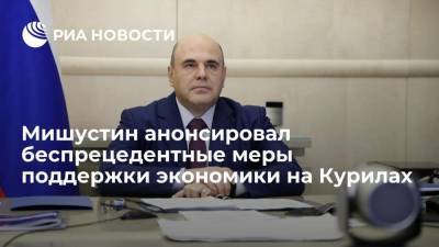 Владимир Путин - Михаил Мишустин - Премьер-министр Мишустин обсуждал с Путиным беспрецедентные меры поддержки экономики на Курилах - smartmoney.one - Россия