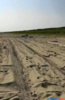 Сахалинцы сообщают о теле, которое два дня лежит на пляже - sakhalin.info