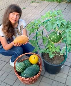 Укротительница арбузов - кунгурячка Каролина Овчинникова - iskra-kungur.ru - Пермь
