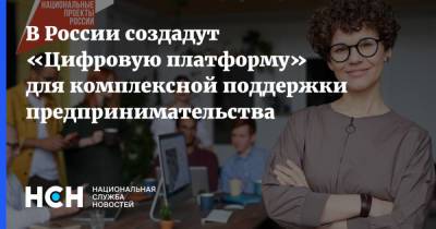 В России создадут «Цифровую платформу» для комплексной поддержки предпринимательства - nsn.fm - Россия