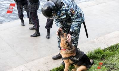 Жителя Новосибирска задержали за финансирование террористов - fedpress.ru - Россия - Новосибирск